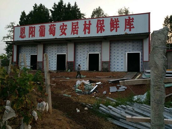 图示：巴中市恩阳区葡萄保鲜库