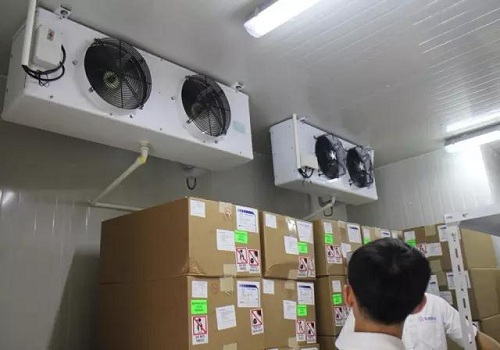 珏圣生物药品库实拍