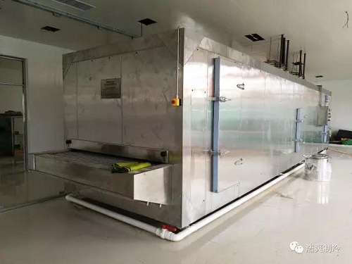 浩爽制冷速冻隧道实物