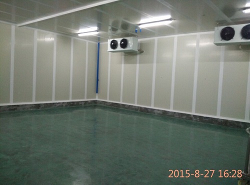 浩爽制冷为某公司建造的气调保鲜库实拍