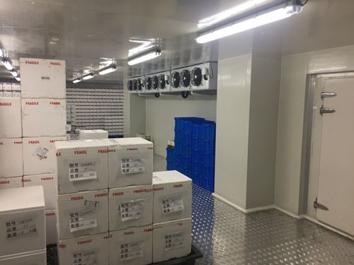 国家化合物样品库医药低温冷库