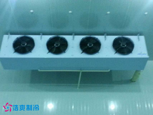 干果保鲜冷库所使用的冷风机