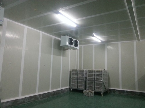 气调保鲜冷库