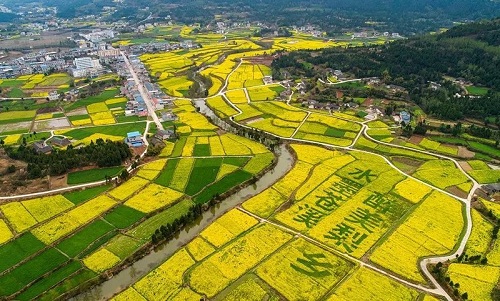 广元苍溪县