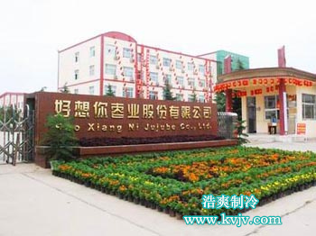 湖北好想你枣业股份有限公司