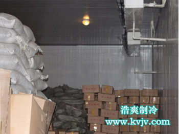 老鬼鱼饵冷库使用中实拍