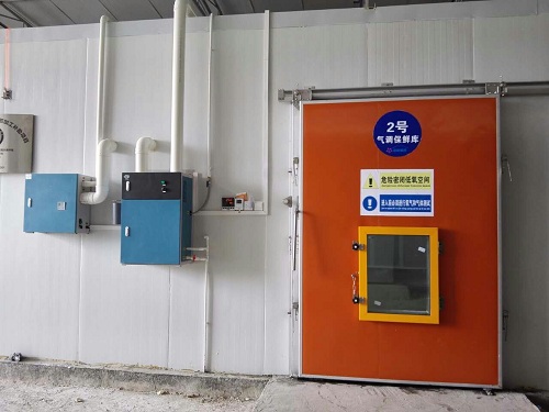 浩爽制冷为贵州水果种植合作社建造的2000立方火龙果气调保鲜库