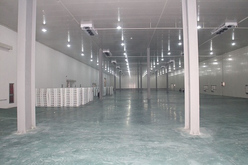 浩爽制冷为某公司建造的大型冷库