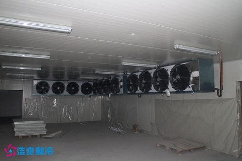 正在建造中的速冻冷库