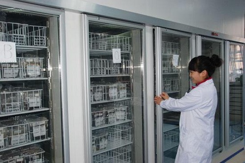 医院、血站血液冷藏库