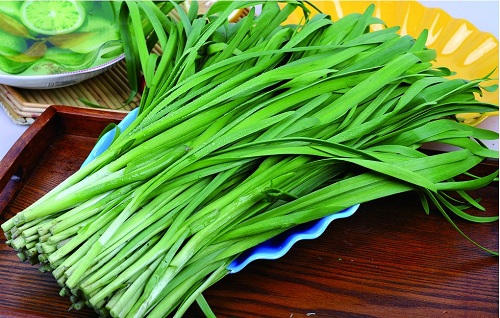 韭菜怎么长时间保鲜？韭菜冷库长期贮藏方式推荐