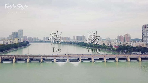 德阳