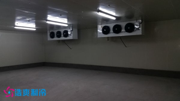 茶叶浓缩液低温速冻库冷风机安装完成实拍