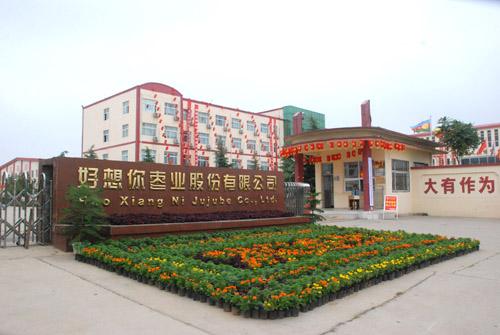 浩爽制冷为好想你枣业公司建造的1000吨保鲜冷库