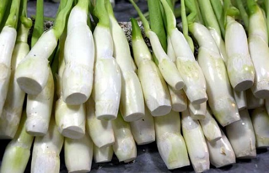 茭白（高笋）怎么长期保存？茭白冷库储存方法推荐