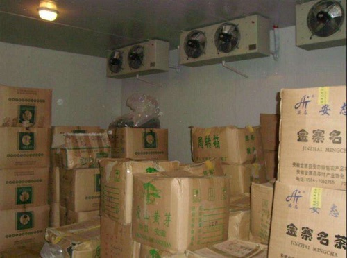 茶叶保鲜冷库