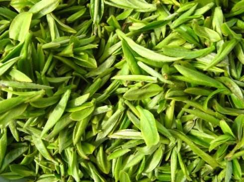 茶叶怎么保存好？茶叶冷库不变质的方法推荐