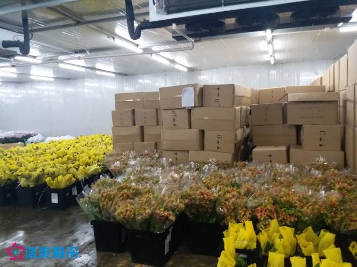 上海芬尚科技35000立方米大型鲜花阴凉库工程