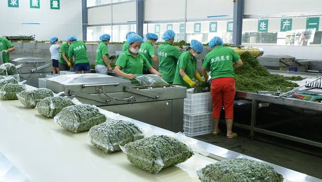 花椒怎么保存不变味？花椒冷库长期储存方法推荐