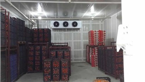水果气调保鲜库