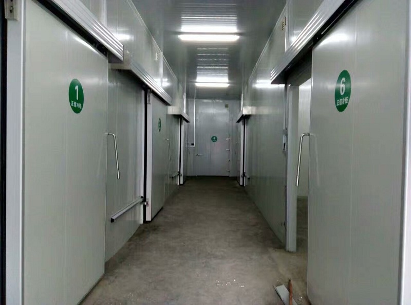 冷库分间实拍