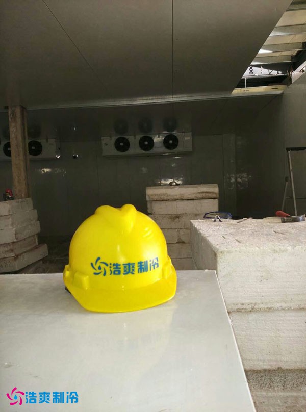 「国外出口冷库案例」法国Socalait冰淇淋低温食品冷库工程项目