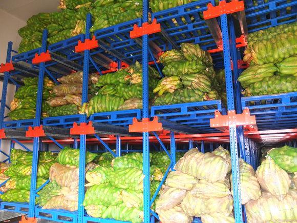 100平方蔬菜保鲜冷库造价成本表，蔬菜保鲜库全套报价清单参考