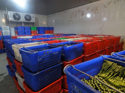 建个10吨左右的蔬菜冷库大概多少钱？