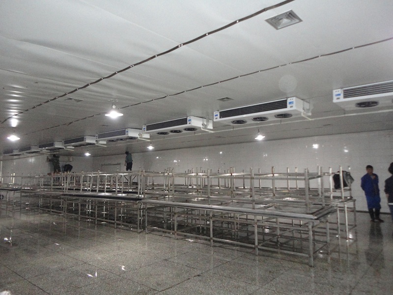 100吨水产冷库建造要多少钱？
