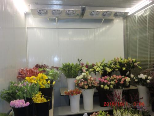 建个鲜花冷库多少钱？鲜花冷库一平方造价多少钱？