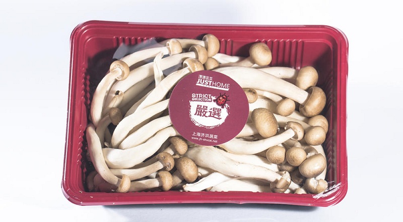 济洪蔬菜实拍图