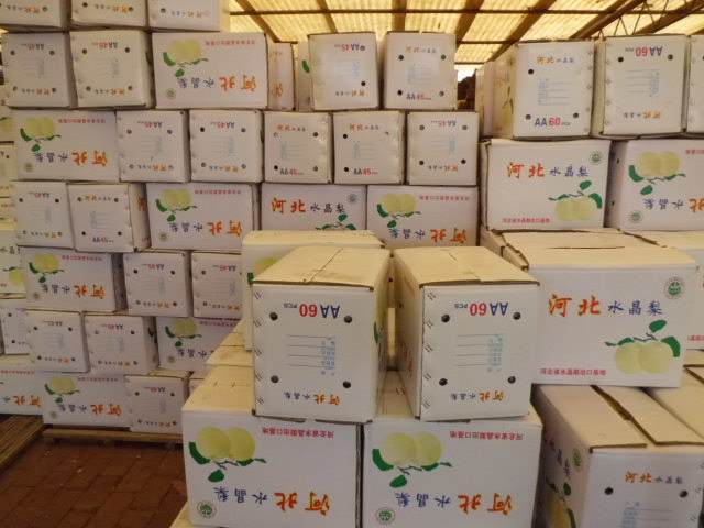 雪梨保鲜库实拍