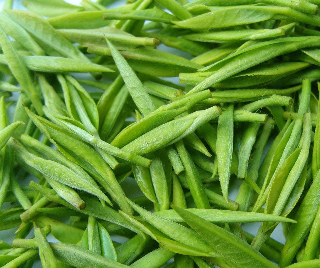 建造茶叶保鲜冷库需要多少钱？