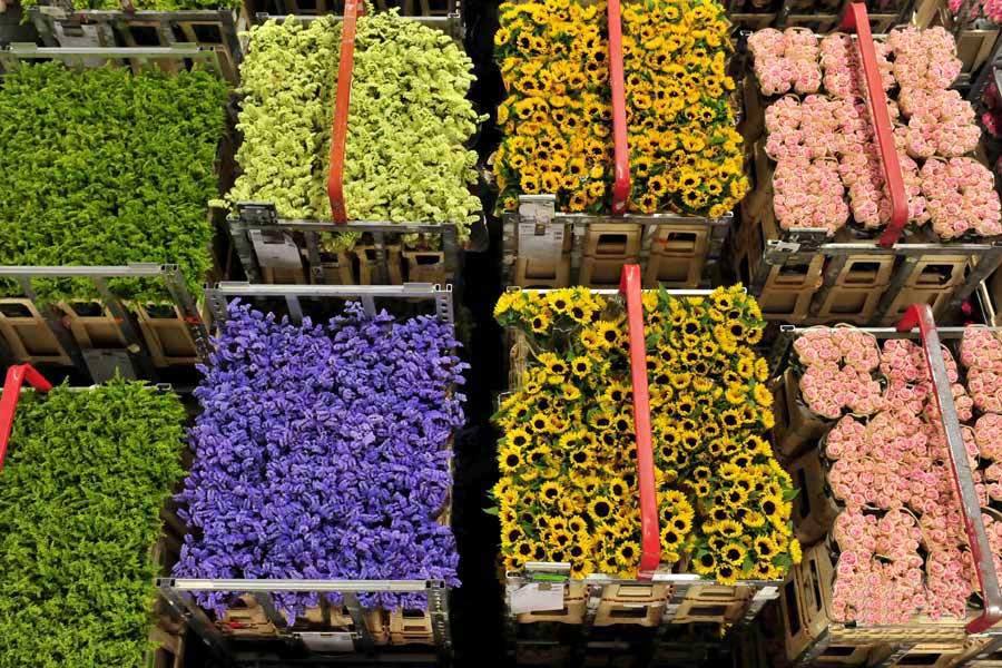 建个鲜花冷库多少钱？鲜花冷库一平方造价多少钱？