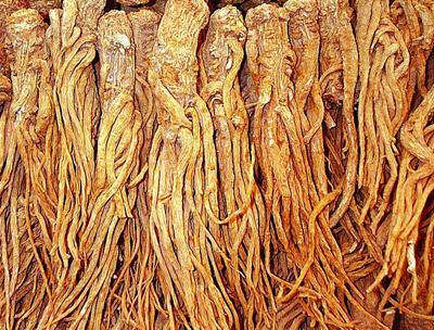 当归怎么保存好？当归冷库贮藏方法推荐