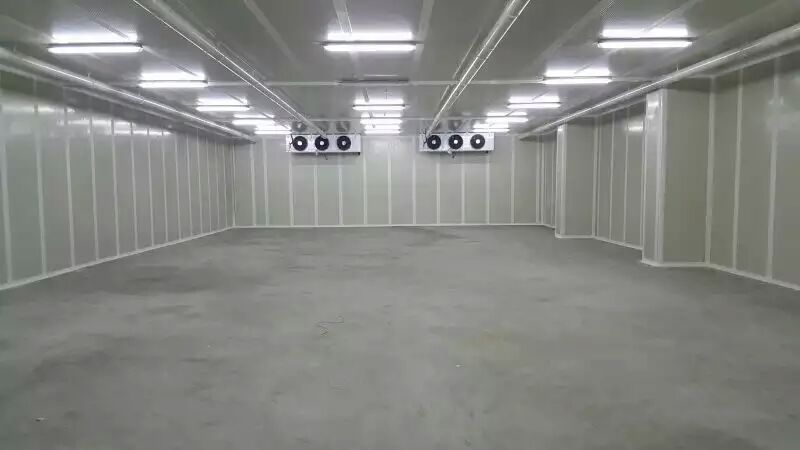 豆角（豇豆）怎么长期保存？豆角保鲜库储存方法推荐