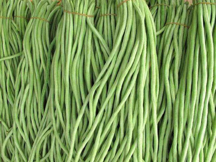 豆角（豇豆）怎么长期保存？豆角保鲜库储存方法推荐
