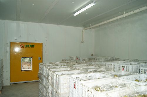 建造柠檬冷库要多少钱一立方？