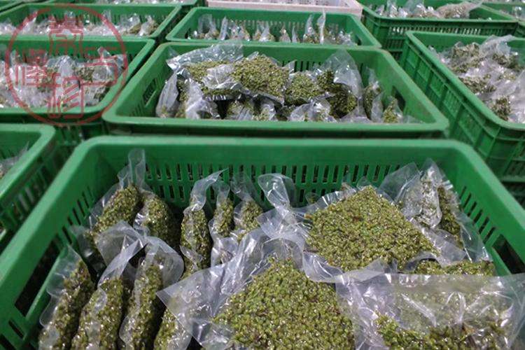 使用气调保鲜库贮藏的藤椒（青花椒）