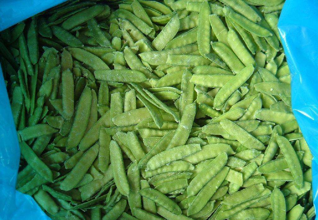 在冷库贮藏3个月左右的荷兰豆