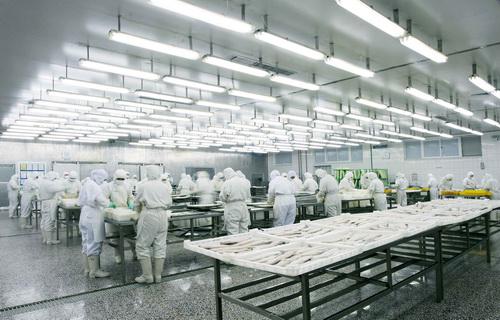 工人正在腌制食品冷库加工