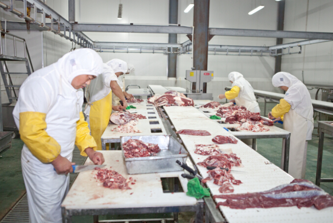 鲜肉禽类冻库加工厂