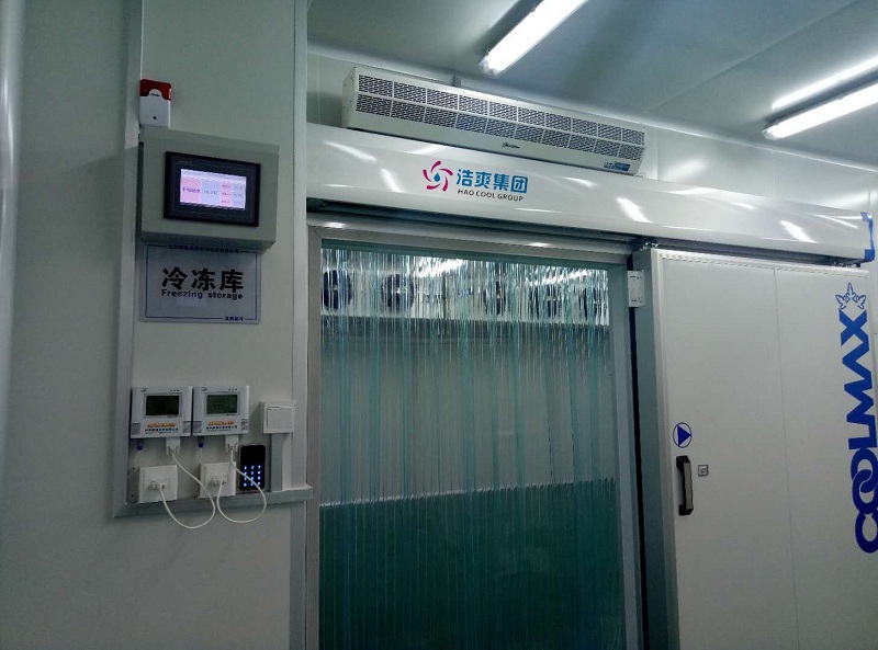 图为零下60度超低温冷冻库