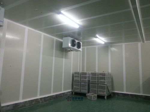 黑莓保鲜库内景实拍