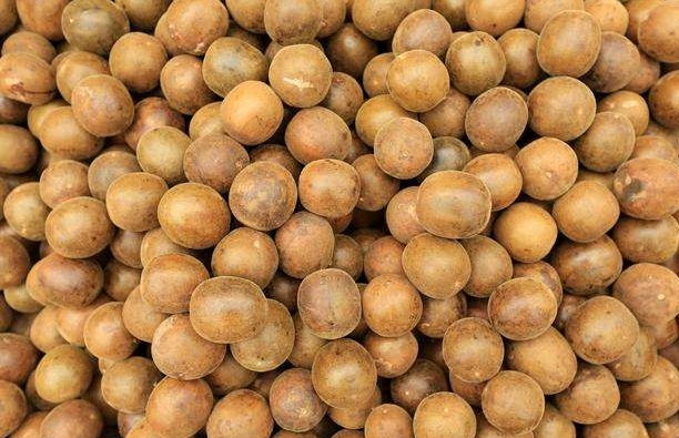 罗汉果怎么长期保存？气调保鲜库贮藏罗汉果效果好