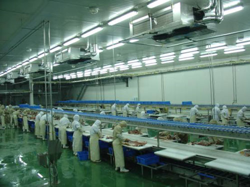 图为肉制品冷库内部实拍