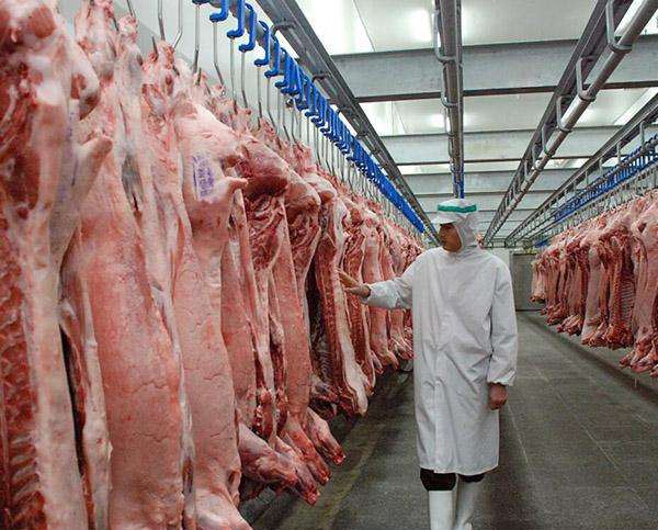 30平米的肉制品冷冻库需要多少钱?