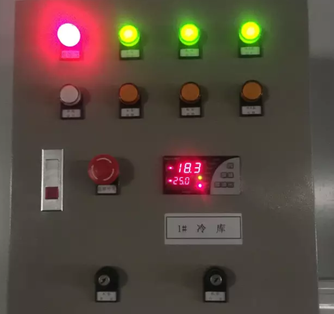 图为低温食材冷库温度控制器实拍