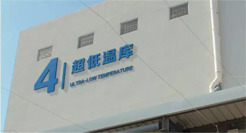 图为大型海鲜低温冷库