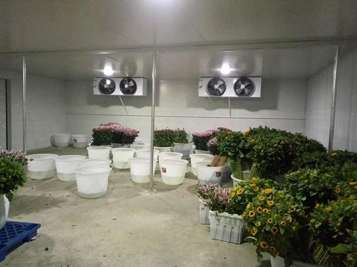 建一个鲜花保鲜库房要多少钱？